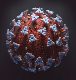 В РФ за сутки по выздоровлению от коронавируса выписано более 26 тысяч человек