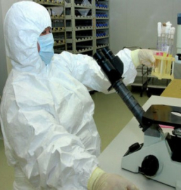 Новосибирск: наука готовится дать коронавирусу бой