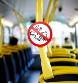Отныне запрещается отказывать в проезде детям без билета