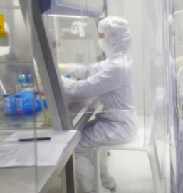 Ученые из Санкт-Петербурга разрабатывают съедобную вакцину от коронавируса