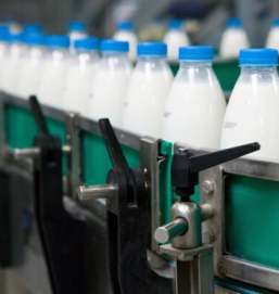 К осени вырастут цены на молочную продукцию