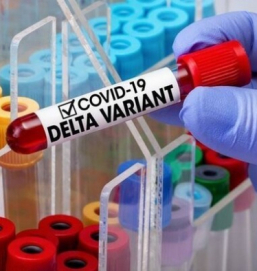 Прививочные препараты российского производства эффективны против «дельта»-штамма минимум на 90 %