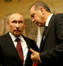 Президенты РФ и Турции заговорили о сооружении 2 АЭС на берегу Черного моря