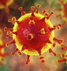 В РФ могут установить очередные ограничения на фоне штамма коронавируса B.1.1.529