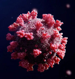 В Марселе во Франции ученые выявили новый штамм коронавируса